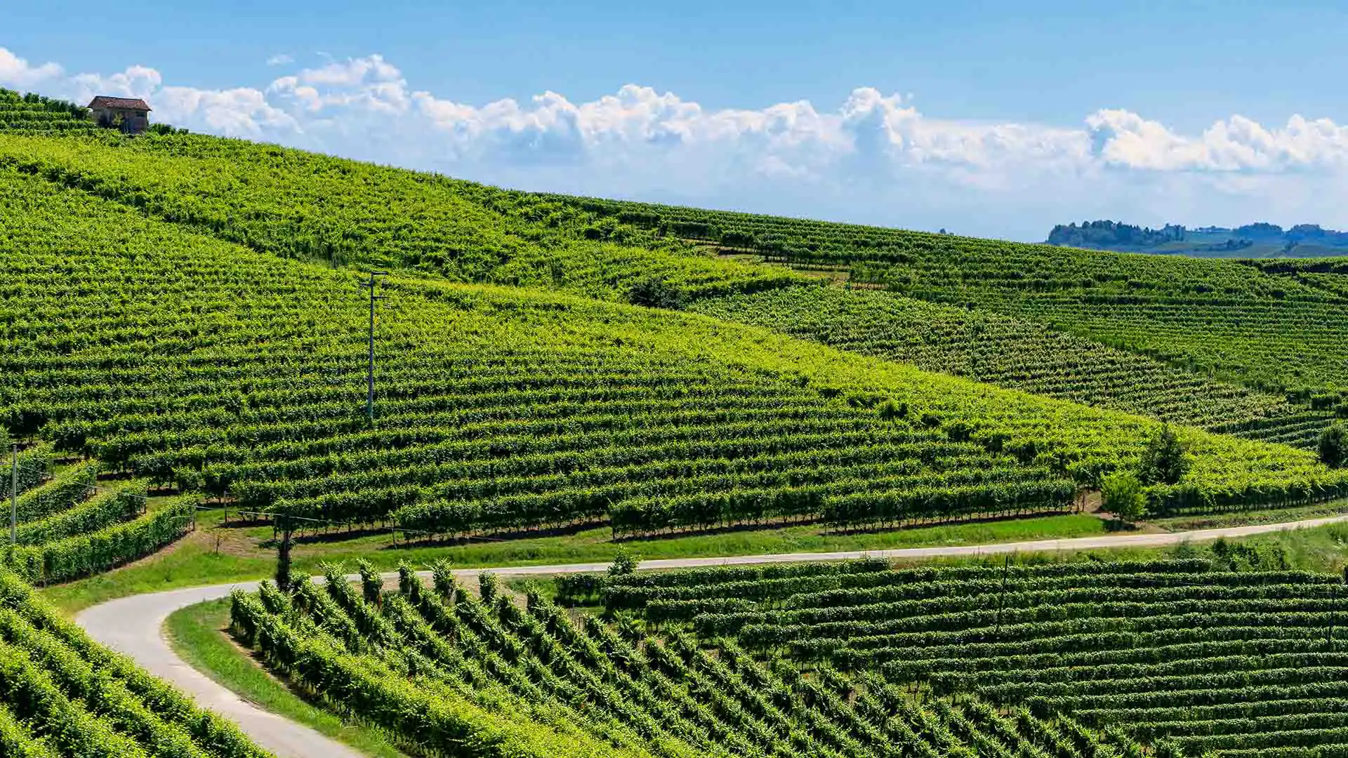 Percorso tra colline e castelli delle Langhe