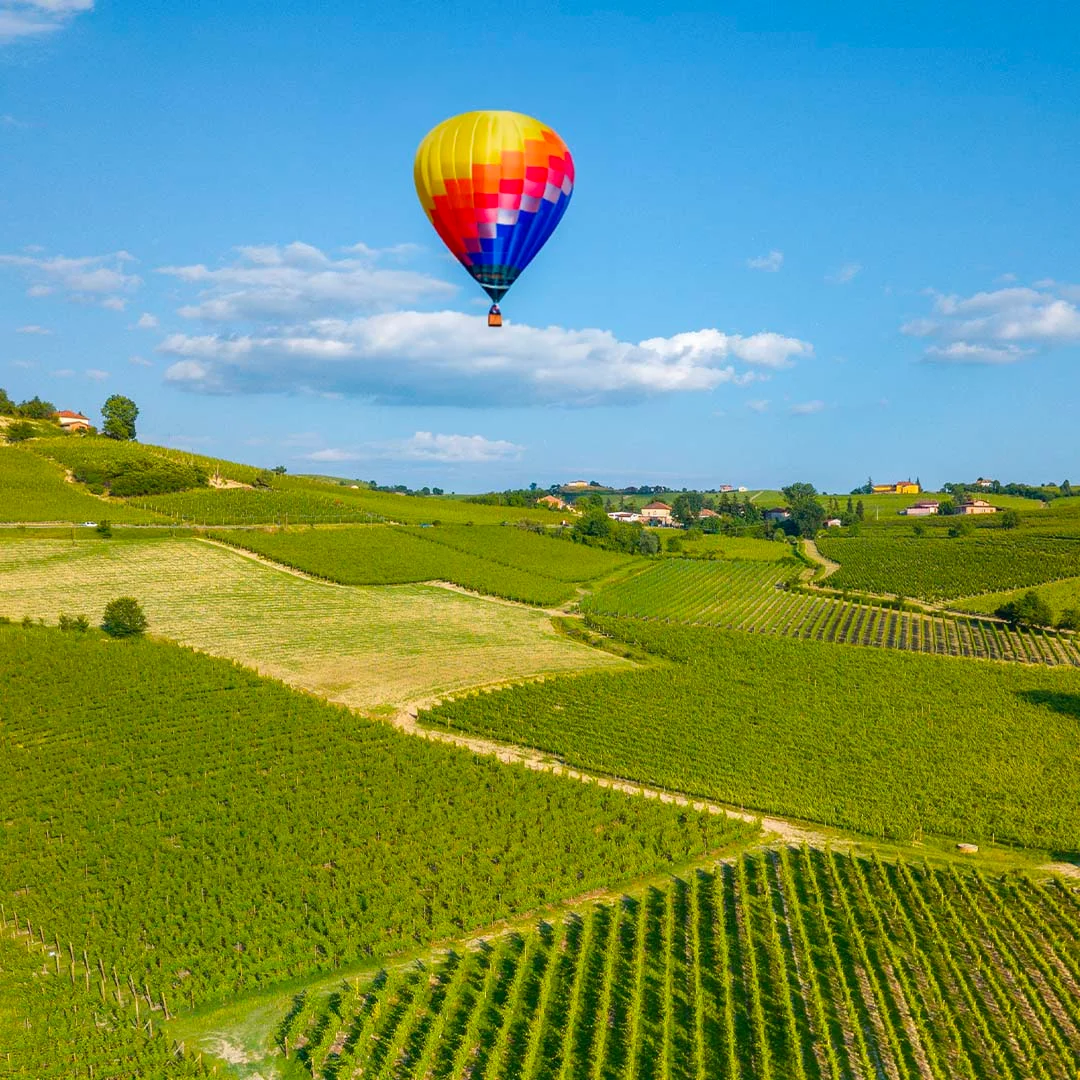 Gita in mongolfiera nelle Langhe, sopra i vigneti